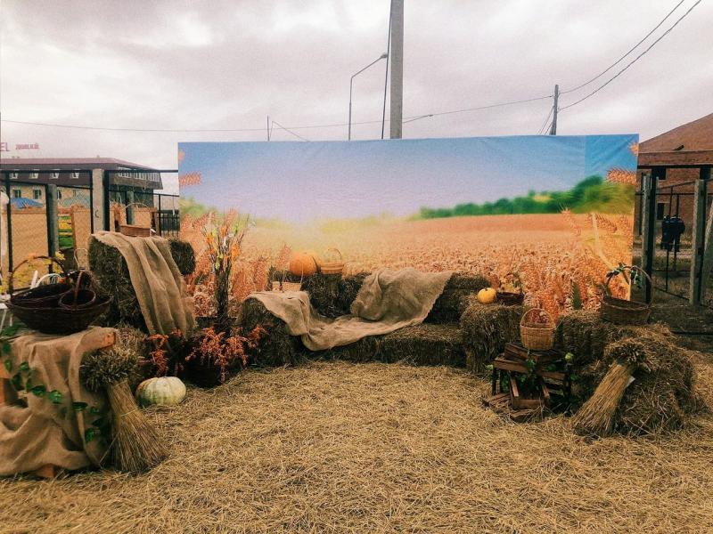 Агрофестиваль-2019