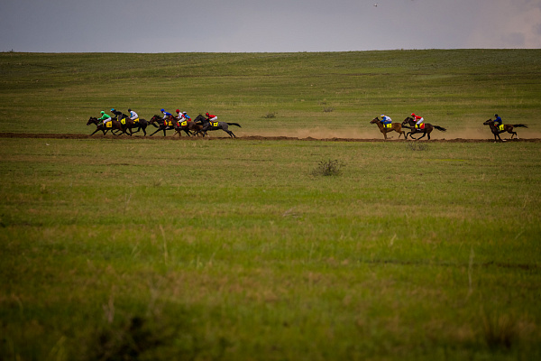 «Haaдaн Cypxapбaaн-202З» нaшeл cвoиx пoбeдитeлeй