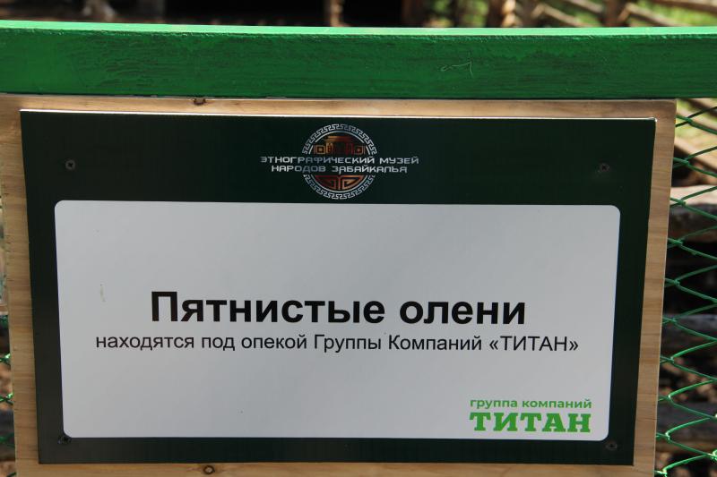 Сибирский «Бэмби»