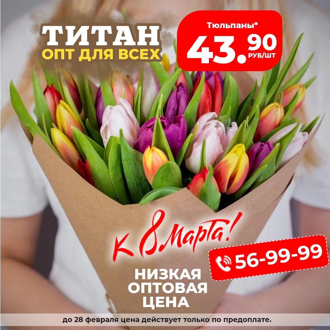 Тюльпаны к 8 марта!
