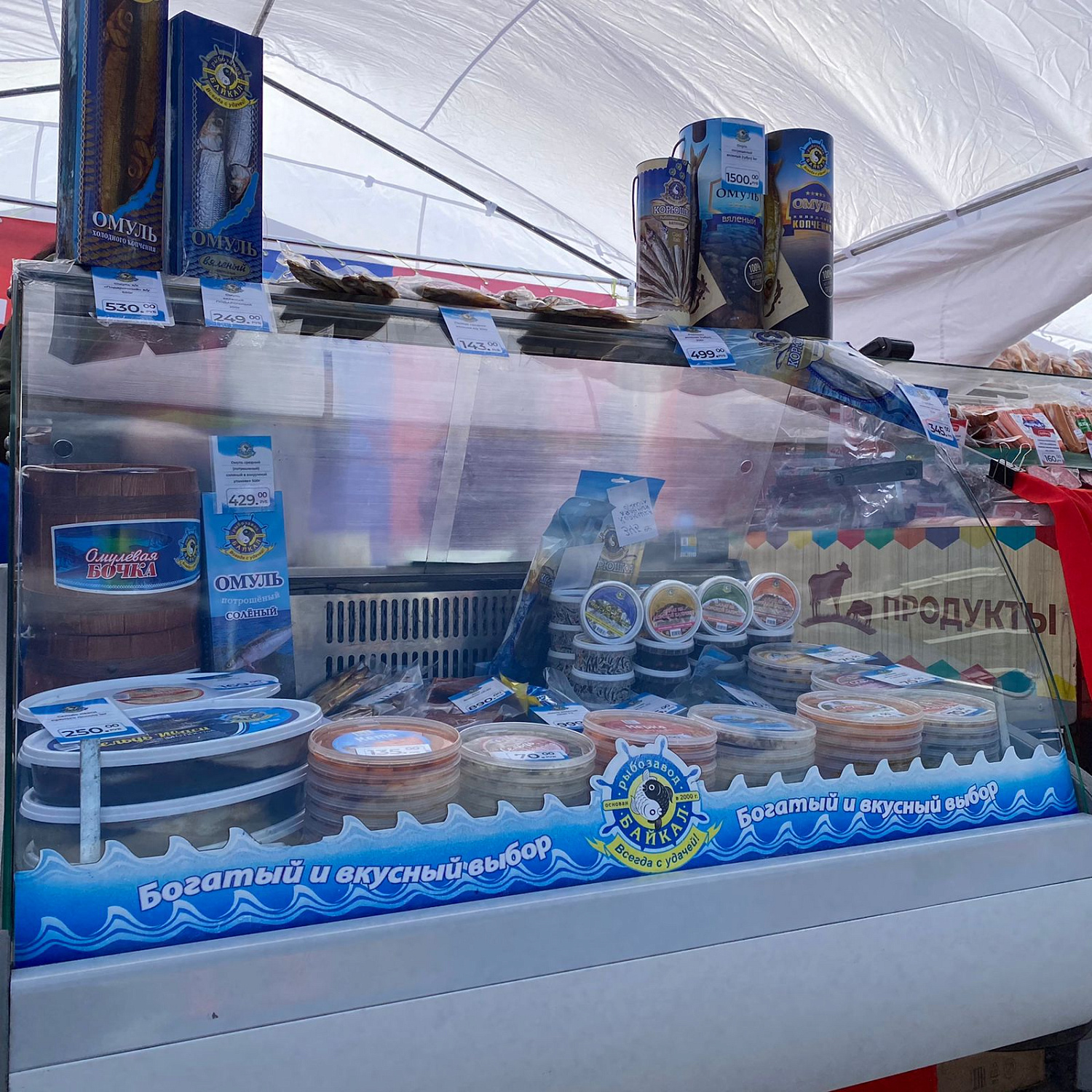 Новые перспективы развития