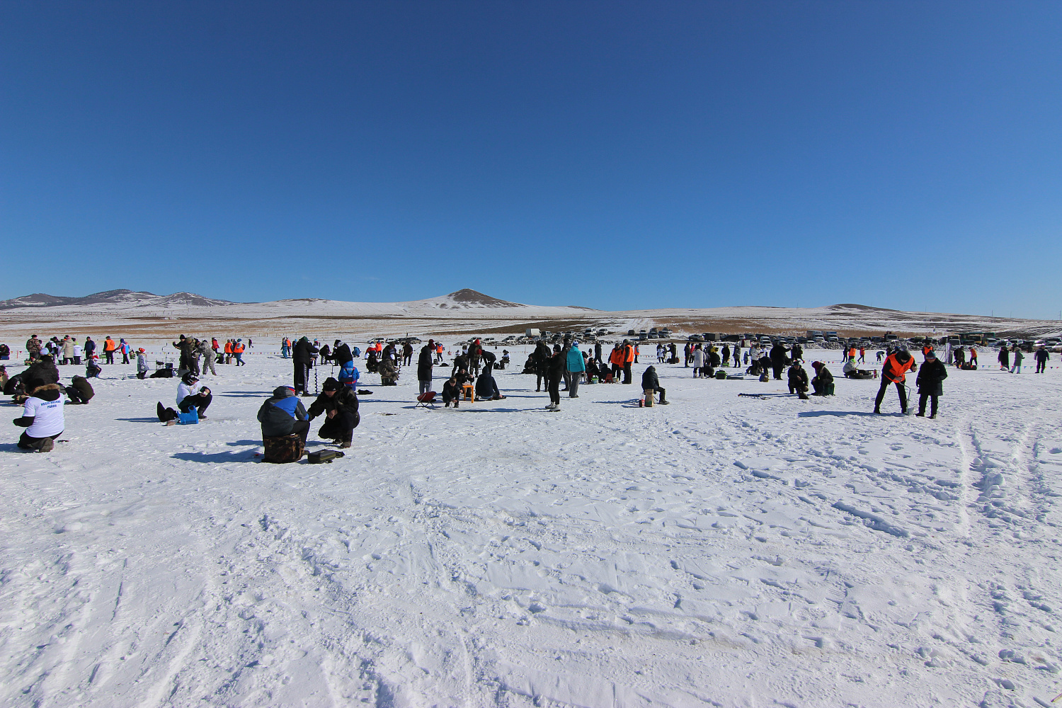 «ЮНЫЙ РЫБАК». Итоги турнира.