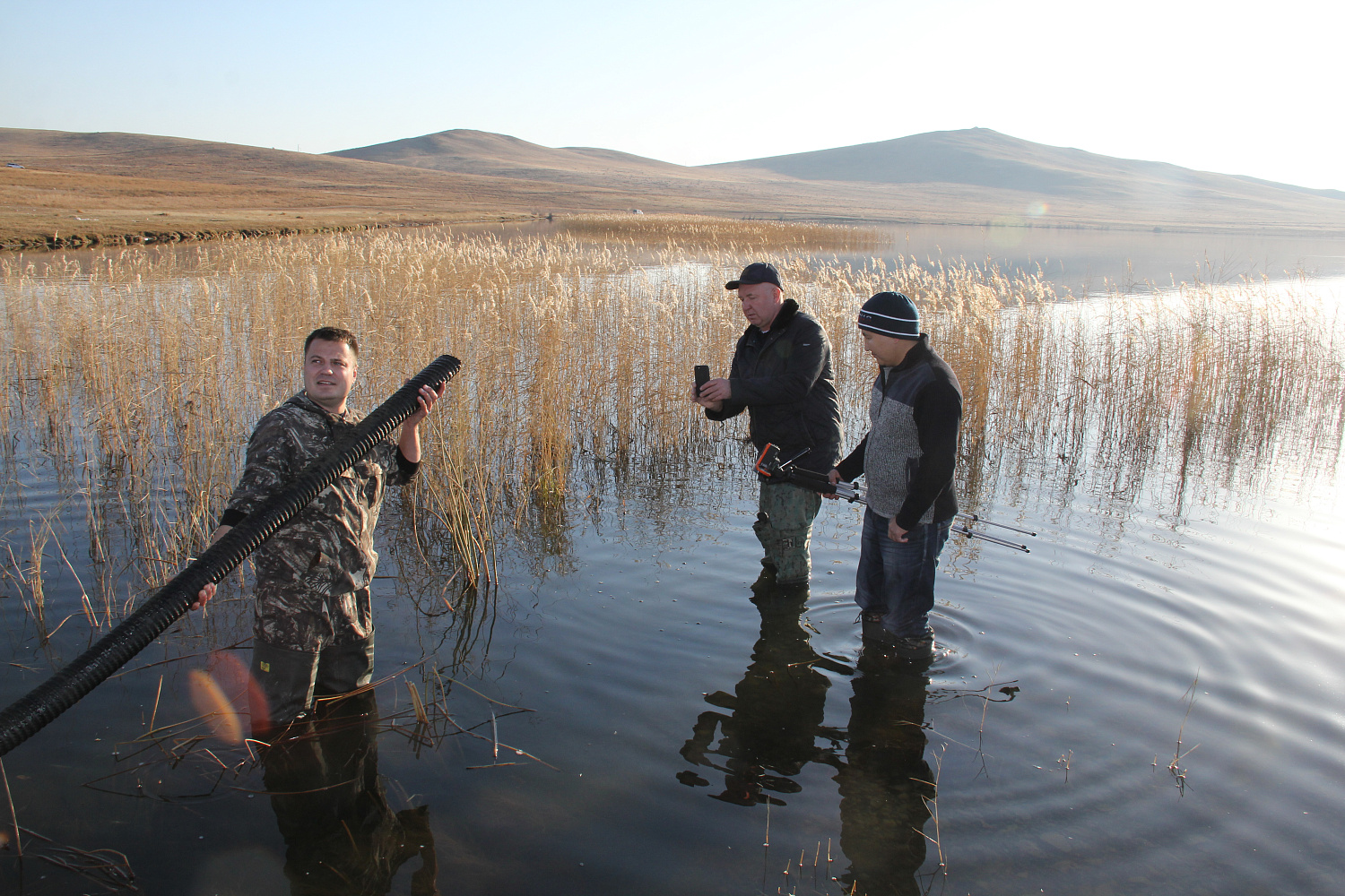 Сазанчики, сазаны