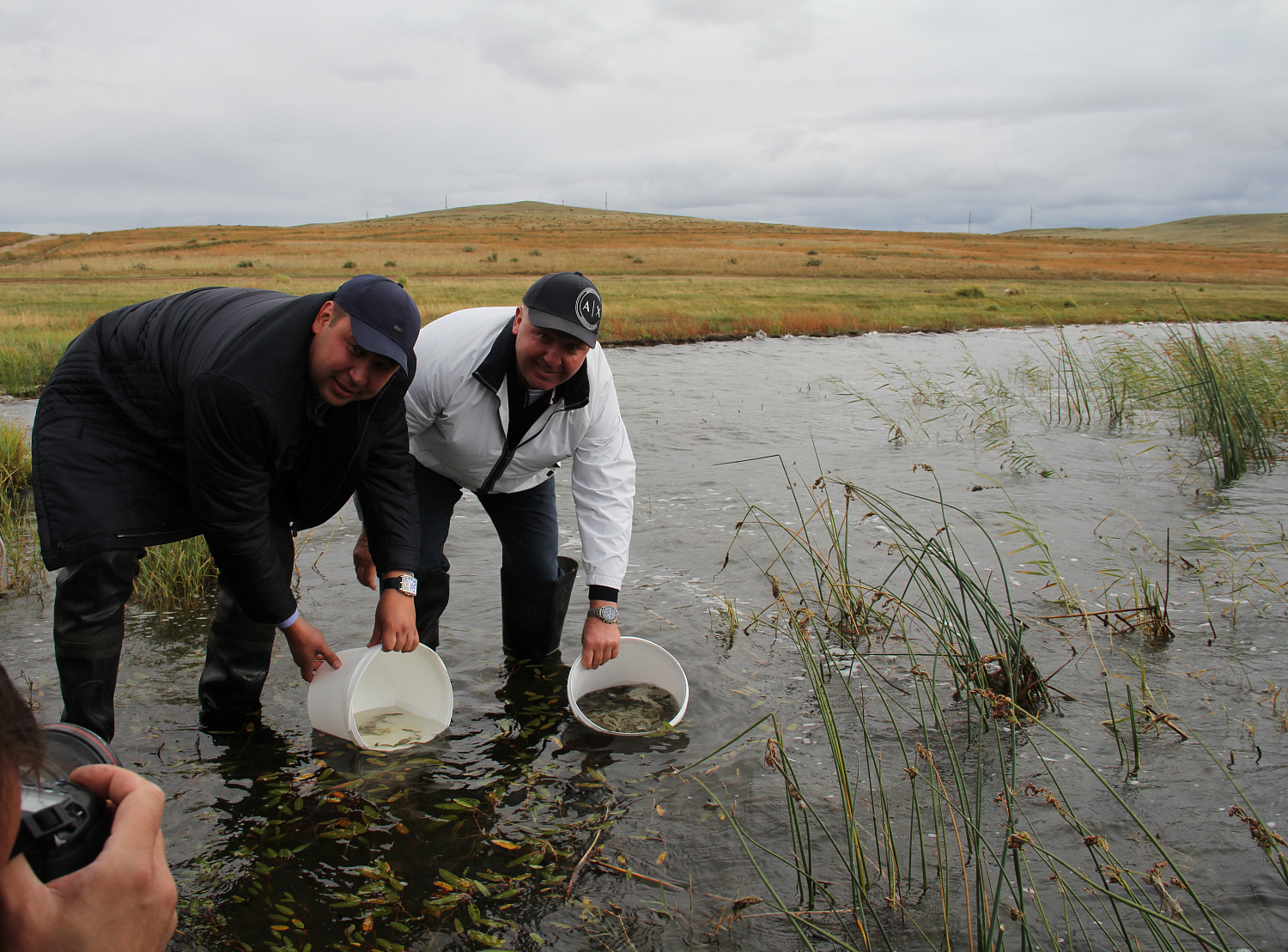 Расти рыбка, большая и маленькая
