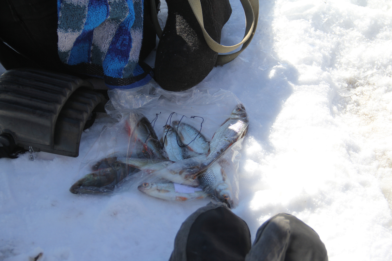 «ЮНЫЙ РЫБАК». Итоги турнира.