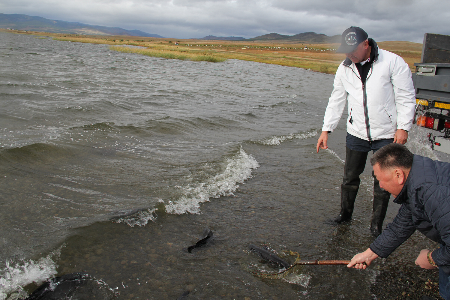 Расти рыбка, большая и маленькая