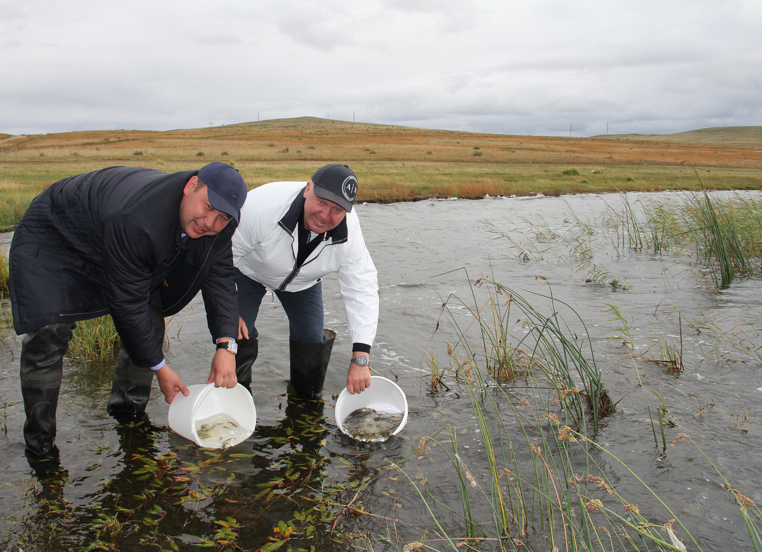 Расти рыбка, большая и маленькая