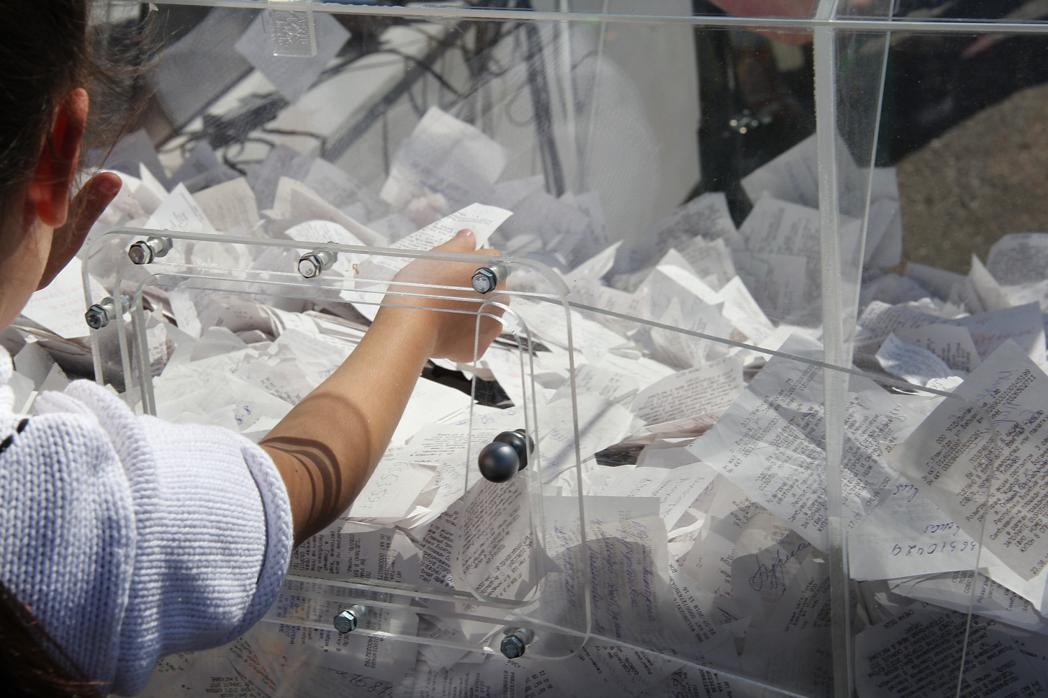 Газель Соболь нашла своего счастливого обладателя 