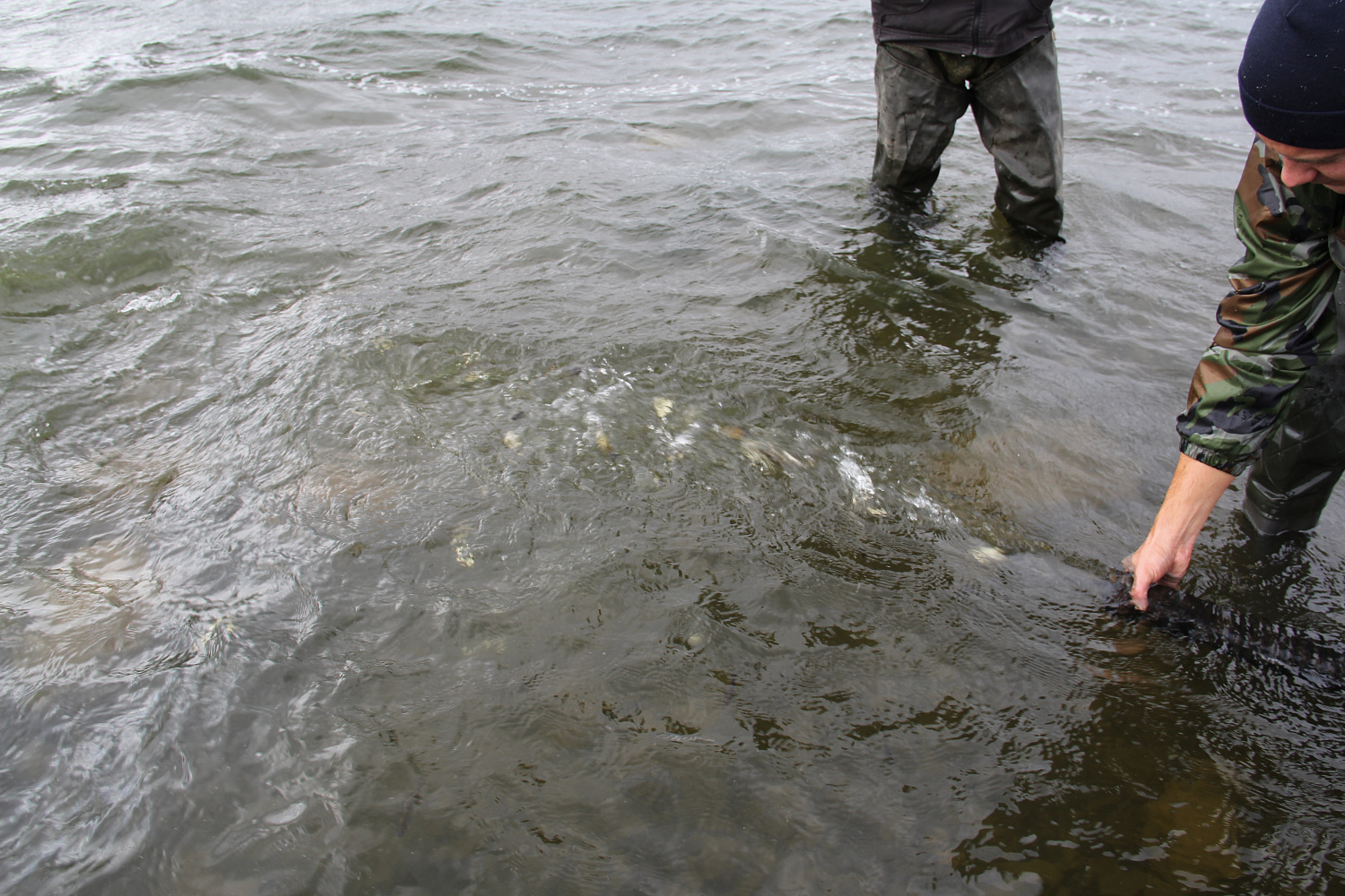 Расти рыбка, большая и маленькая